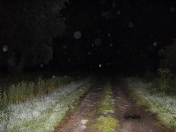 Avon Paranormal Team - The Sedgemoor Battlefield